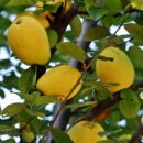 도옴한의원 이미지