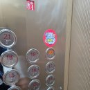 미화이용원 | [테이블에이 파주점]28개월아들과 파주 실내 동물원 재방문 후기