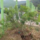 하날농장 이미지