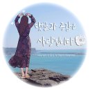 월정담 | 구해줘 숙소에 나온 제주 돌담집 독채 풀빌라 펜션 여행 후기