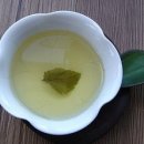 뽕나무와 뽕잎의효능 이미지