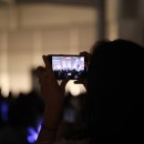 제주 와일드 이미지