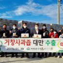 홍홍사과