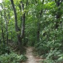 금산인삼직매장 - 중구 | 금산인삼직매장