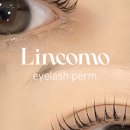 링코모(LINCOMO) 이미지