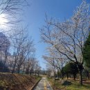 마재근린공원 이미지