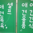 종로애견미용 이미지