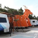 고래불쉼터 이미지