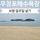 신비의바닷길민박 | 충남 보령 여행 6일차 신비의 바닷길이 열리는 무창포해수욕장