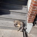 명법2통 이미지