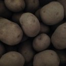 에브라임하우스 이미지