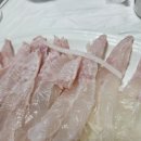 돌고래회식당 - 포항시 북구 해안로 213 | 돌고래회식당