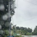 장수골길(와룡면) 이미지