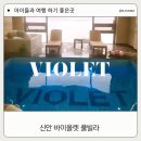 신안 바이올렛 풀빌라 아이들과 여행 가기 좋은 곳 추천 솔직후기
