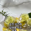 폿폿 이미지