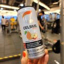 양일로1L 이미지