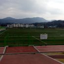 조종생활체육공원 축구장 이미지