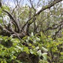 정선군 도사곡샘터 이미지