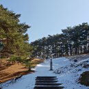 강릉김씨묘역 이미지