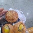 (250308)나혼자 공주 당일치기 여행
