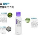 착수생춘비바채 네이버블로그