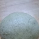 지리산산수유 이미지