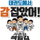 하늘 익스트림 태권도장 이미지