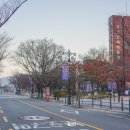 국립김해박물관 화장실앞 이미지