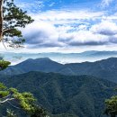 백수광부 이미지