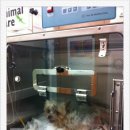 애경 동물병원 이미지