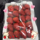서울완치과 이미지