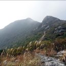 상만목장 이미지