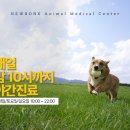 뉴본동물의료센터 이미지