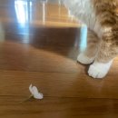 세브란스내과의원 | 편두통 환자의 세브란스 다녀오는 일기~~