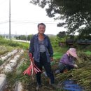 서여주세종영농조합법인 이미지