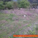 개울가 펜션 이미지