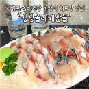 사람휘트니스 올레시장점 | 제주 서귀포 올레시장 가성비 회포장 고등어회 맛집 싱싱올레해산물 후기