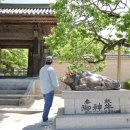 다자이후 텐만구 신사 일본 후쿠오카 유명 관광지