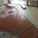 대성화이트 이미지