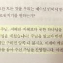 캐시윤