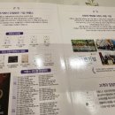맞춤결혼정보