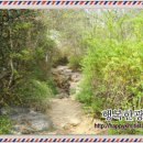 중리동 가구특화거리 이미지