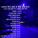 Deep State 시다바리 언론들의 조작 왜곡 보도로 인류대량학살자가 영웅이 되는 나라 이미지