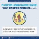 부산교통 이미지