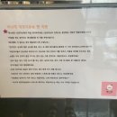 바나개 | [랑이_day] 바나개, 바나개 후기, 하남애견미용, 망월동애견미용