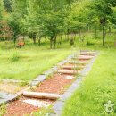 옥화자연휴양림 이미지