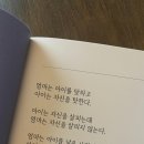 제일건강식품