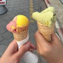 파묵칼레) 파묵칼레🏔️, 히에라폴리스🏛️, naz restaurant🌯, 리치몬드 파묵칼레 호텔