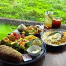 대성민박 - 화천군 산수화로 46-4 | 제주 동쪽 브런치카페 포레스텔라 인 제주 방문 후기｜제주 송당 맛집 구좌 맛집 스누피가든 맛집 제주...