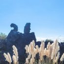 제주 올레길 5코스 이미지